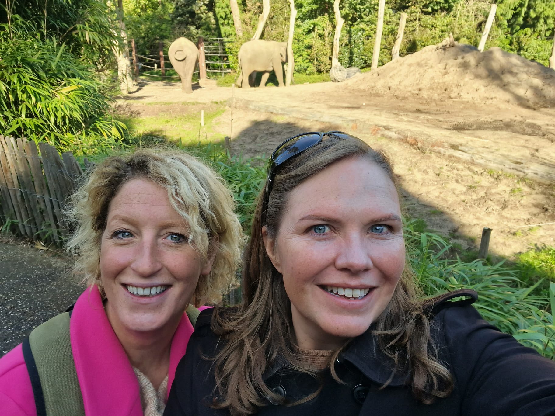 Famke dierenpark amersfoort