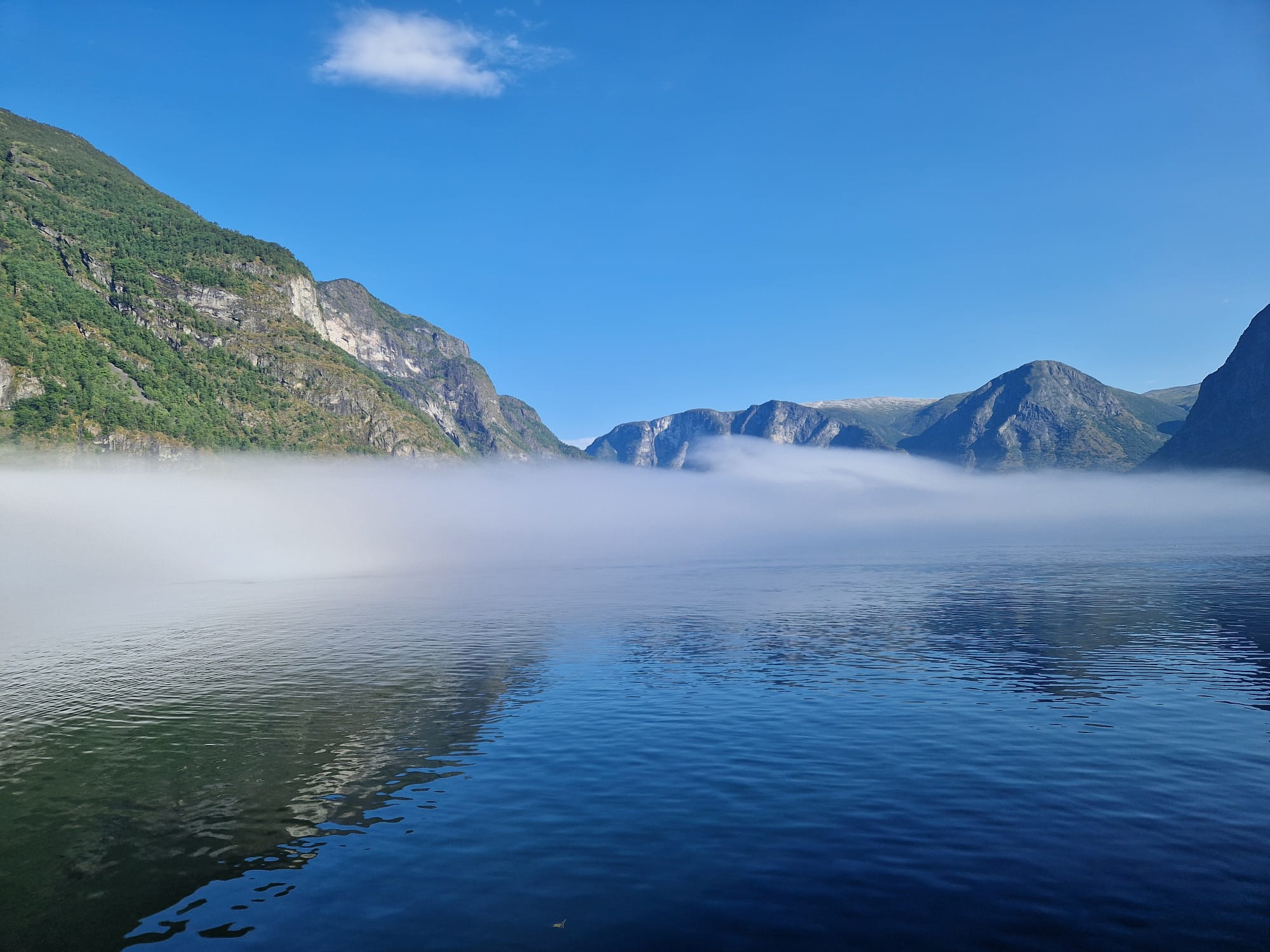 Fjorden Noorwegen Flam